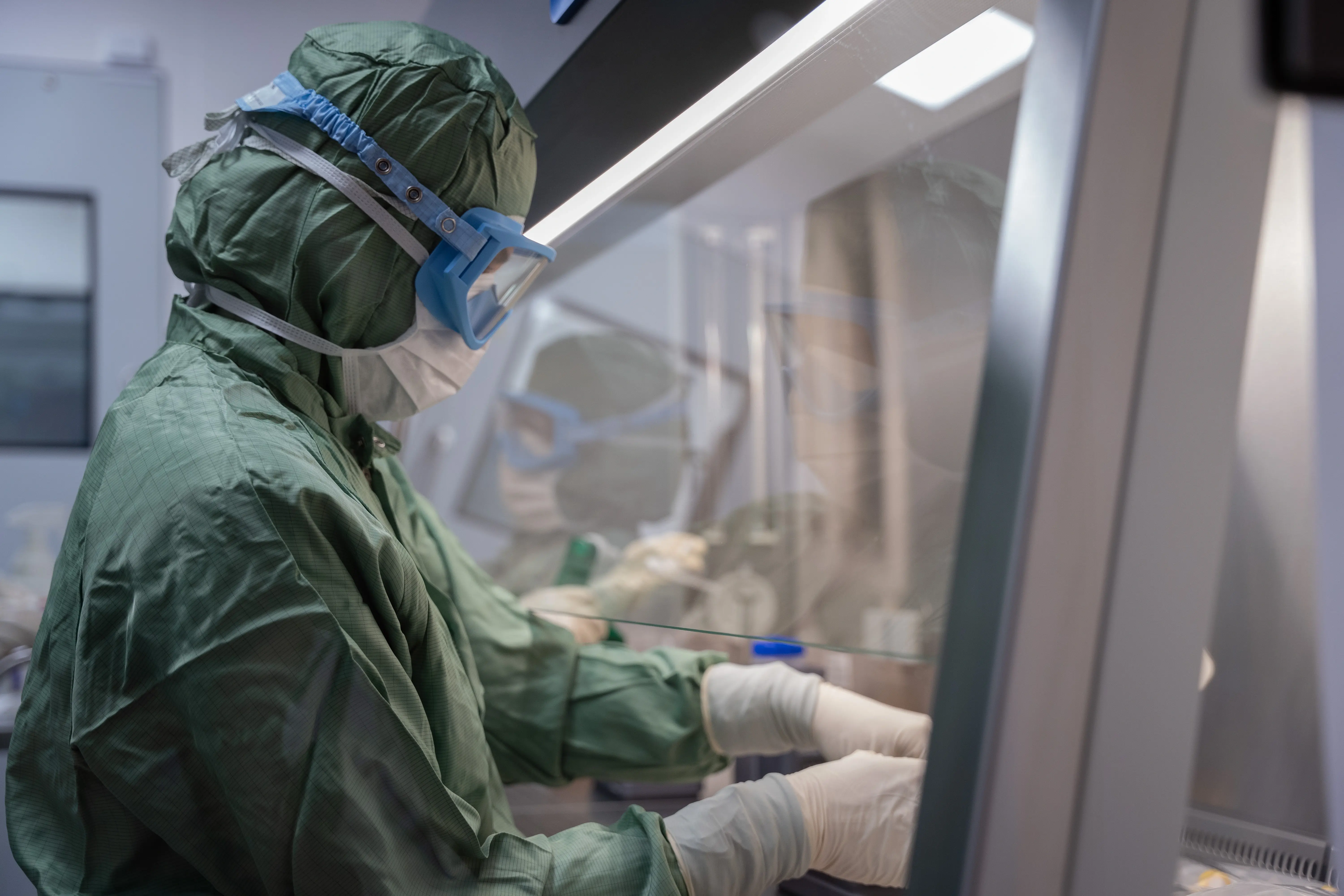 Order GMP-grade cells